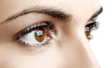 Eyebrows
